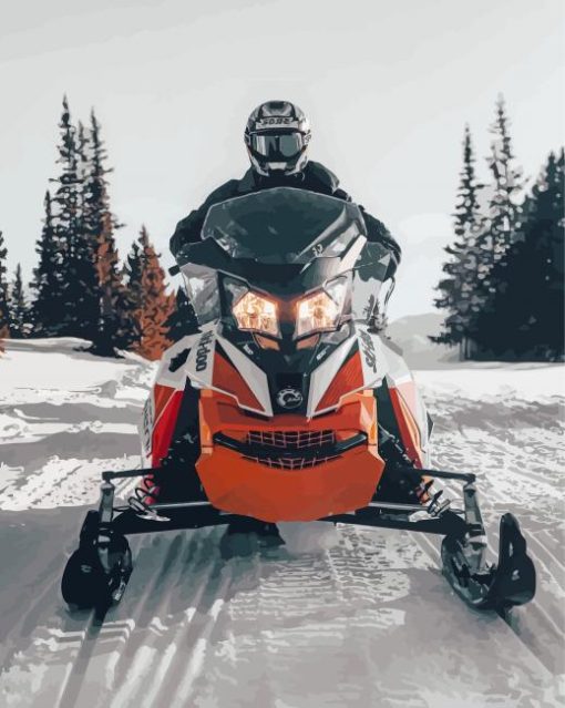 Ski Doo Driver Diamond Painting