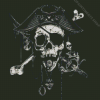 Skull Pirate Diamond Painting