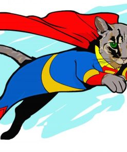 Superhero Cat Diamond Painting