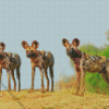 Three African Hunting Dogs Diamond Painting