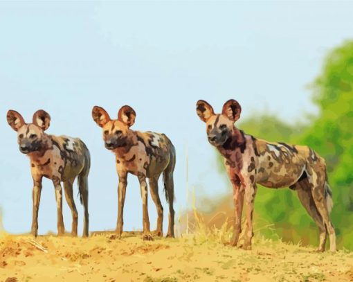 Three African Hunting Dogs Diamond Painting