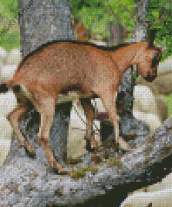 Tree Goat Animal Diamond Painting