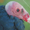 Turkey Vulture Head Diamond Painting