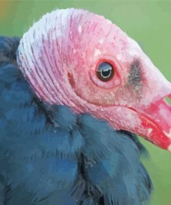 Turkey Vulture Head Diamond Painting