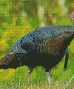 Wild Turkey Diamond Painting