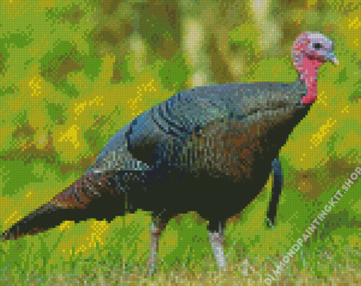 Wild Turkey Diamond Painting