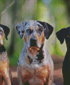 Aesthetic Catahoula Dogs Diamond Painting