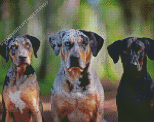 Aesthetic Catahoula Dogs Diamond Painting