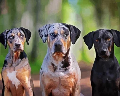 Aesthetic Catahoula Dogs Diamond Painting