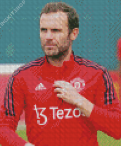 Aesthetic Juan Mata Diamond Painting