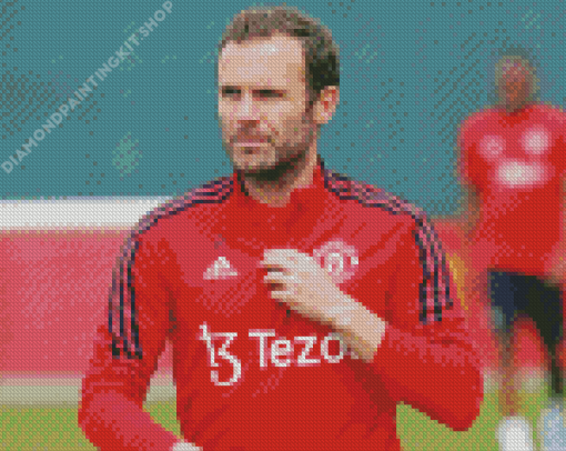 Aesthetic Juan Mata Diamond Painting