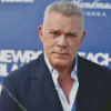 Aesthetic Ray Liotta Diamond Painting