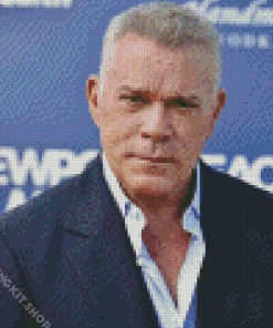 Aesthetic Ray Liotta Diamond Painting