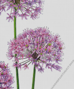 Allium Art Diamond Painting