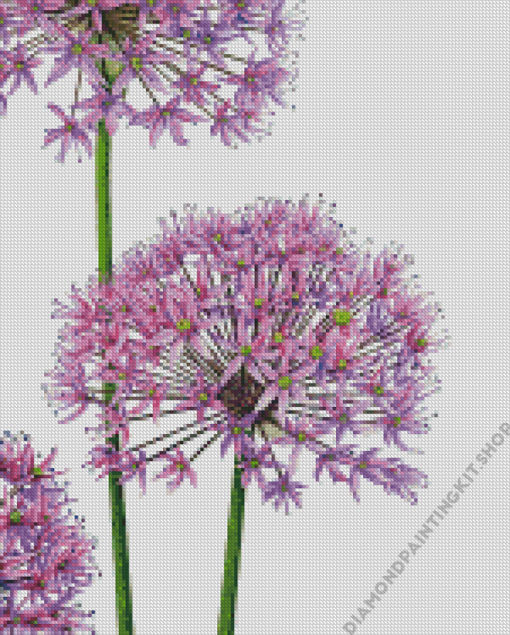 Allium Art Diamond Painting