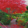 Japanese Maple Tree In Garden Diamond Painting