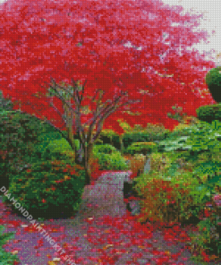 Japanese Maple Tree In Garden Diamond Painting