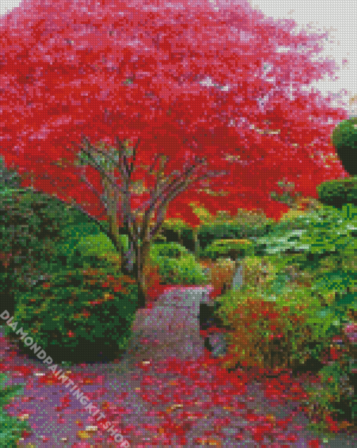 Japanese Maple Tree In Garden Diamond Painting