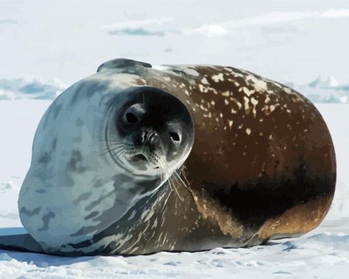 Antarctica Seal Diamond Painting