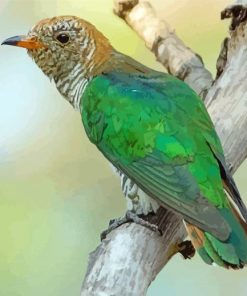 Asian Emerald Cuckoo Diamond Painting