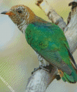 Asian Emerald Cuckoo Diamond Painting