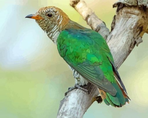 Asian Emerald Cuckoo Diamond Painting