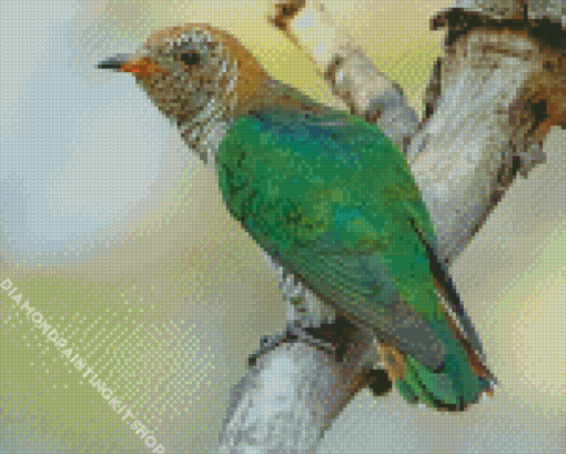 Asian Emerald Cuckoo Diamond Painting