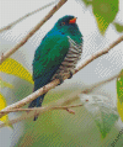 Asian Emerald Cuckoo On A Branch Diamond Painting