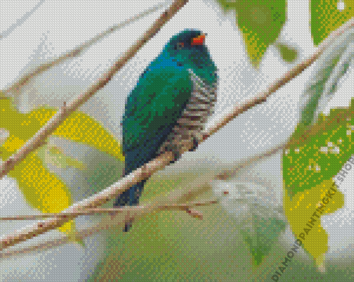 Asian Emerald Cuckoo On A Branch Diamond Painting