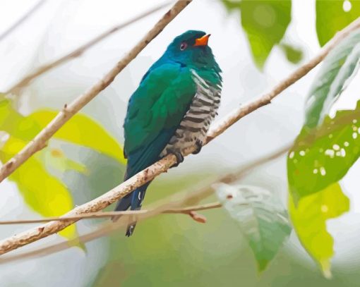 Asian Emerald Cuckoo On A Branch Diamond Painting