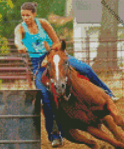 Barrel Racing Diamond Painting