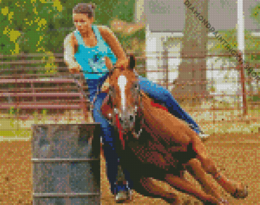 Barrel Racing Diamond Painting