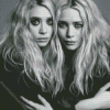 Black And White Mary Kate And Ashley Diamond Painting