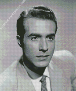 Black And White Ricardo Montalban Diamond Painting