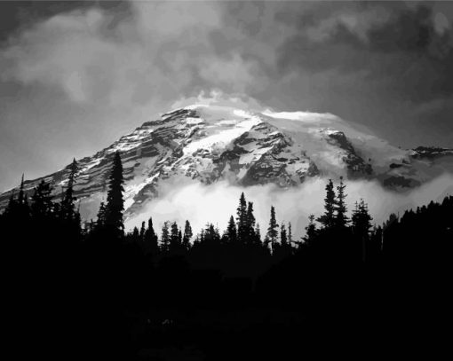 Black And White Snowy Mountain Landscape Diamond Painting