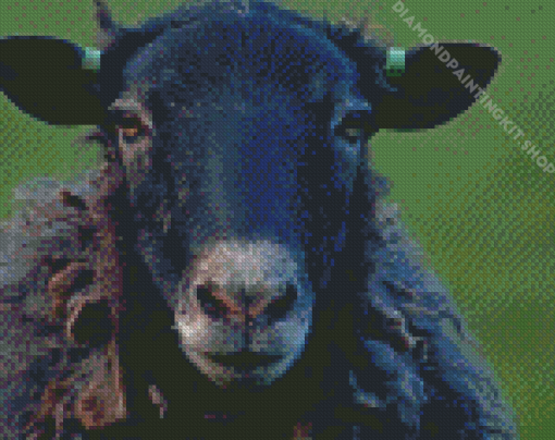 Black Sheep Head Diamond Painting