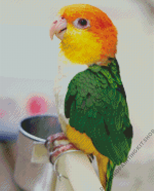 Caique Bird Diamond Painting