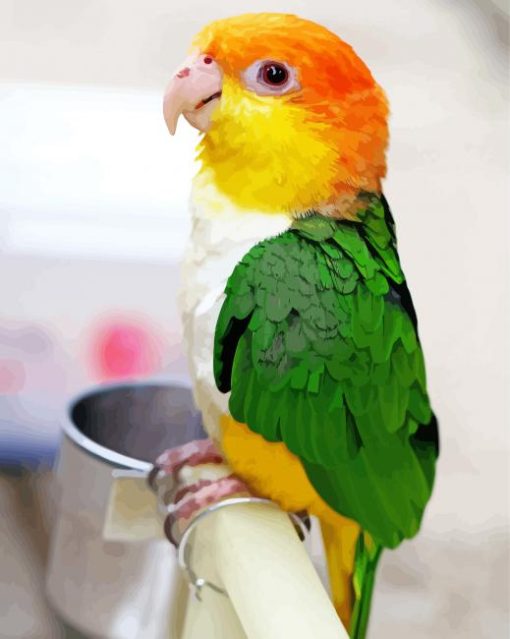 Caique Bird Diamond Painting