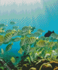 School Fish Diamond Painting