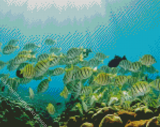 School Fish Diamond Painting