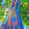 Close Up Rainbow Eucalyptus Tree Diamond Painting