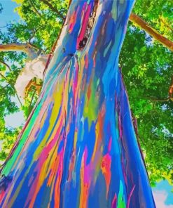 Close Up Rainbow Eucalyptus Tree Diamond Painting