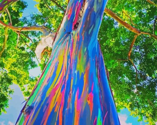 Close Up Rainbow Eucalyptus Tree Diamond Painting