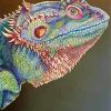 Colorful Bearded Dragon Art Diamond Painting