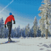 Cross Country Skiing Diamond Painting