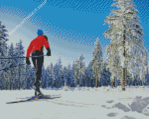 Cross Country Skiing Diamond Painting