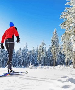 Cross Country Skiing Diamond Painting