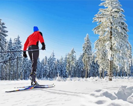 Cross Country Skiing Diamond Painting