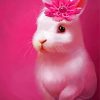 Cute Pink Rabbit Diamond Painting