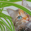 Cute Plant Cat Diamond Painting